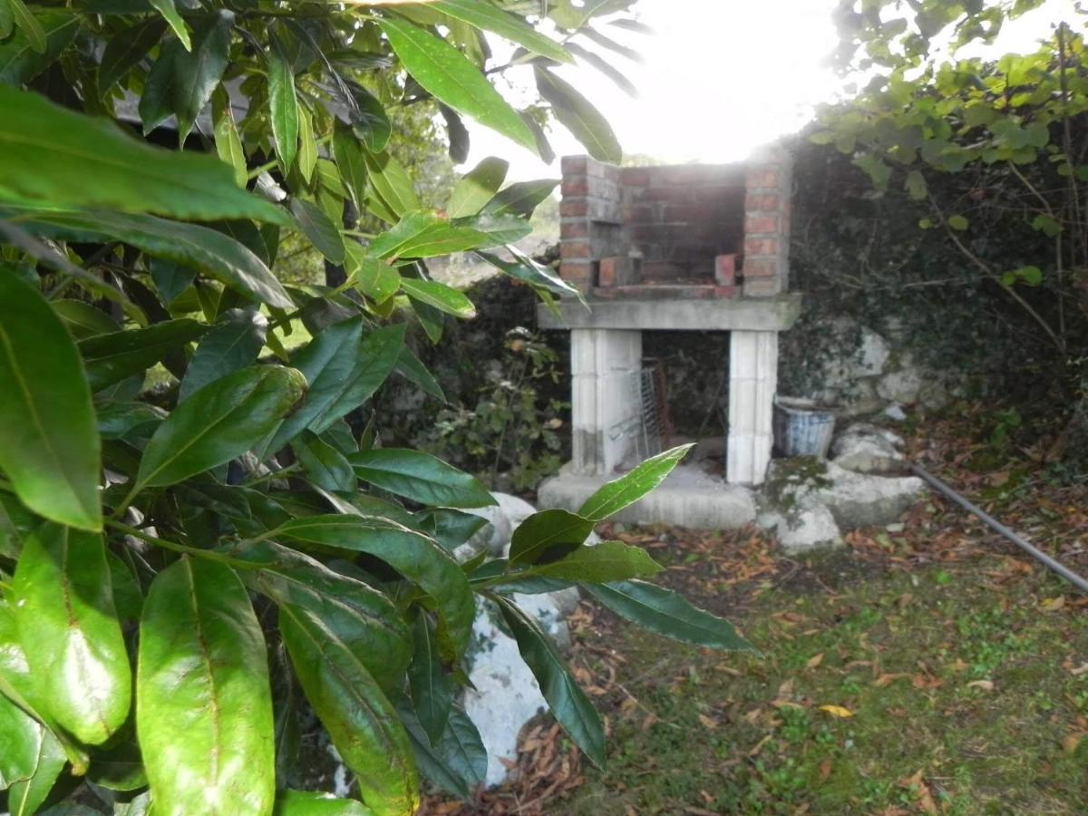 Apartamentos Rurales Vallanu Rodeados De Naturaleza En Llanes Y A 3 Kilometros De Las Playas Eksteriør bilde